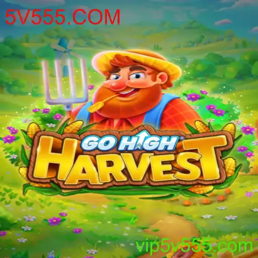 Tudo sobre o Jogo GoHighHarvest e Sua Relação com 5V555.COM